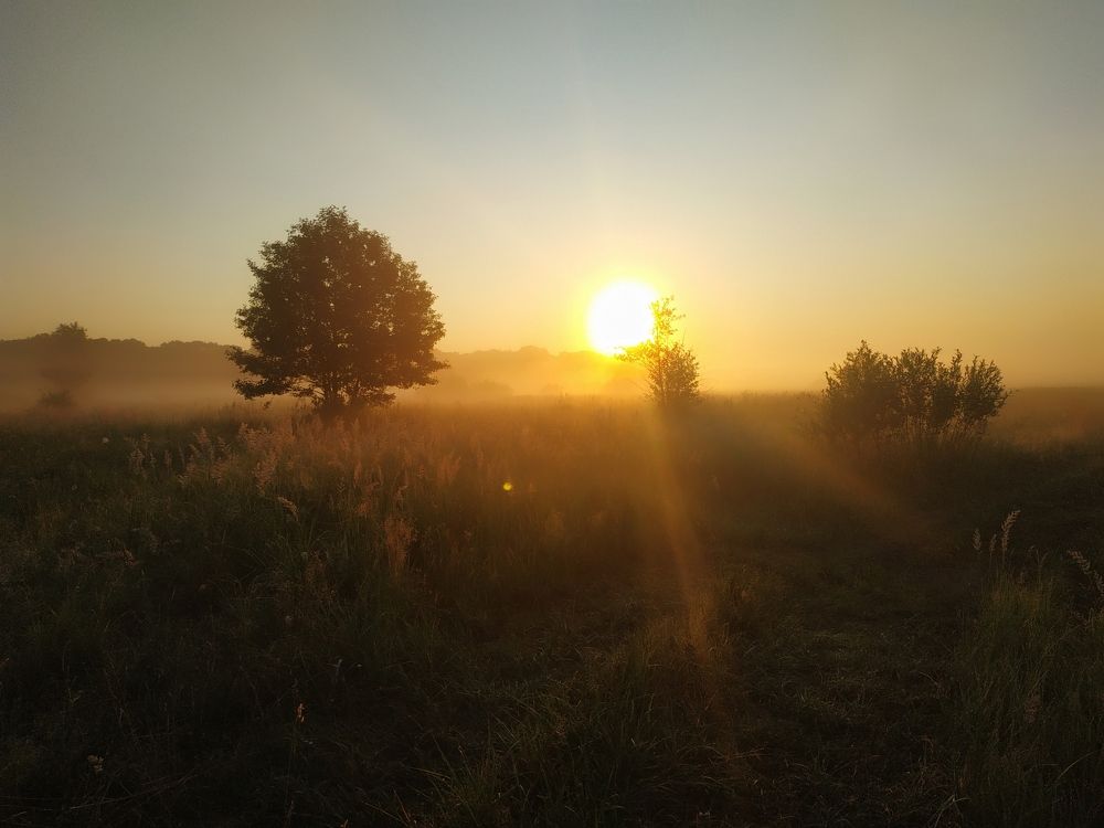 Photograph by Татьяна Калугина