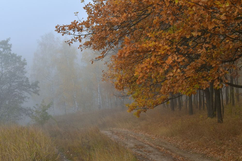 Photograph by Татьяна Калугина