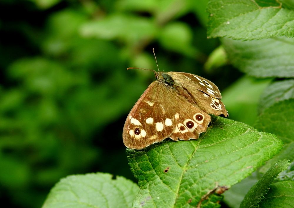 Photograph by Татьяна Калугина