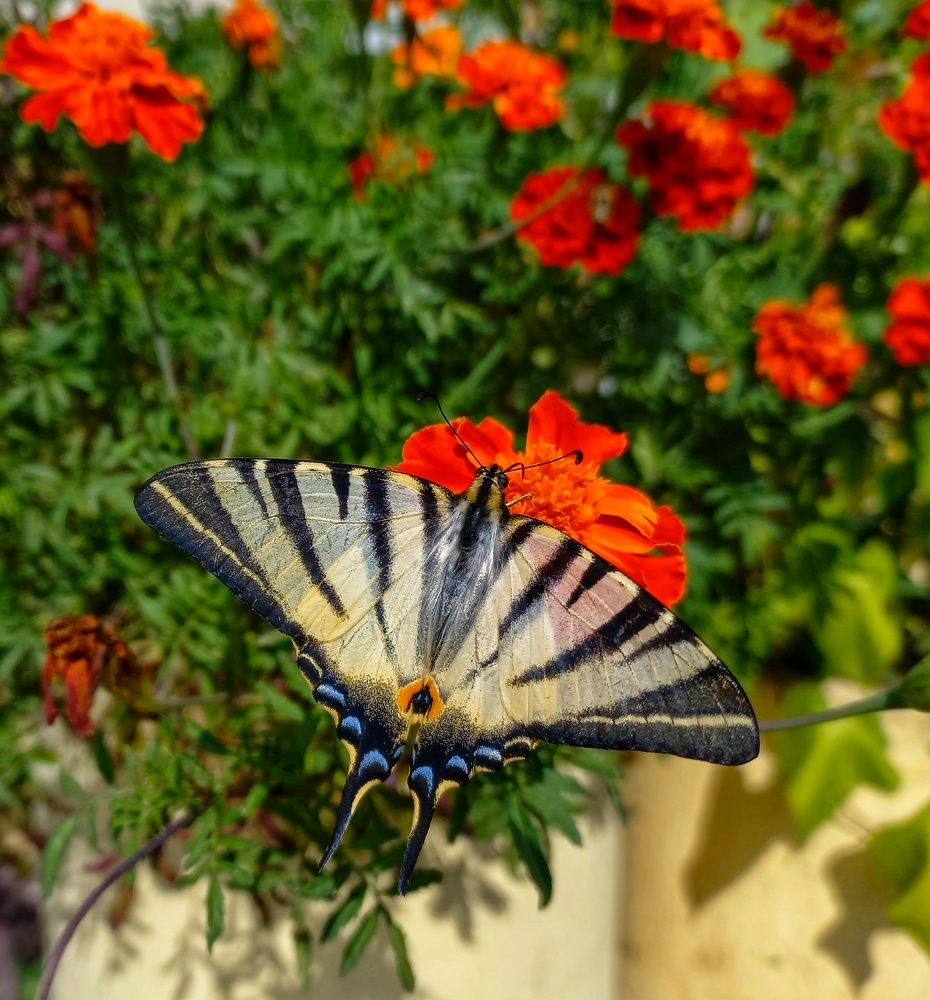 Photograph by Юлия