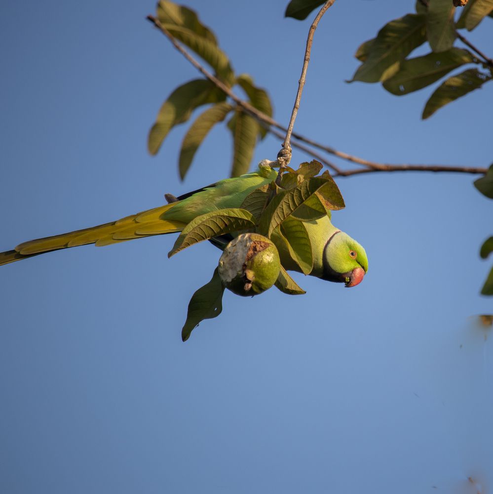 Photograph by Jairam Pathak