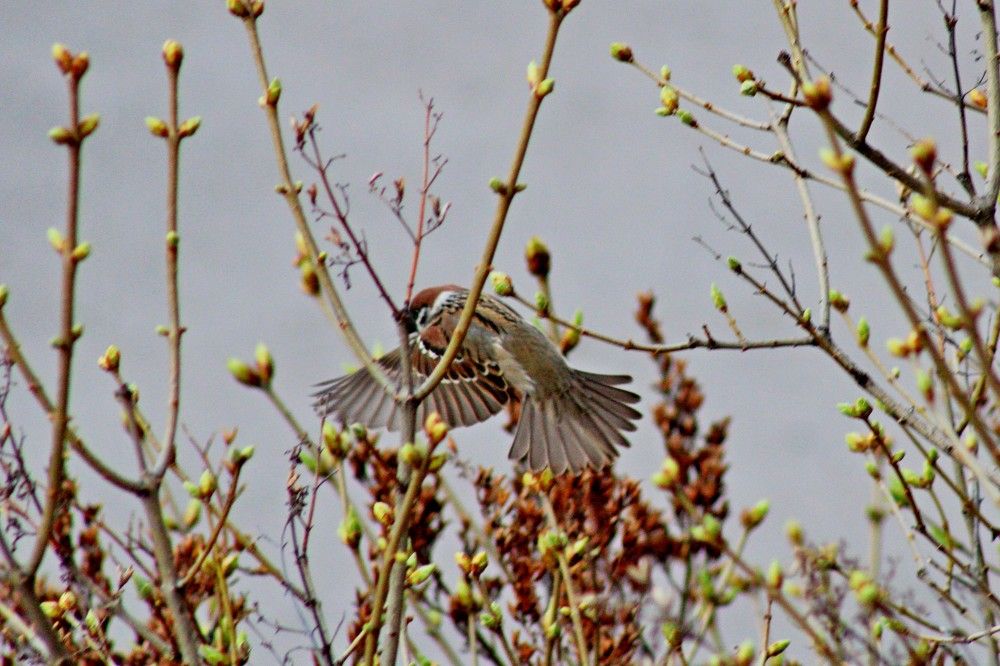 Photograph by Дмитрий Симагин