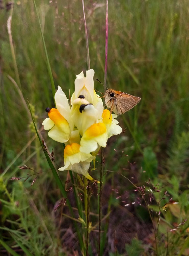 Photograph by Алия