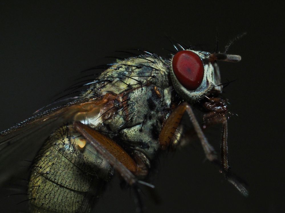 Photograph by Ирина Протченко