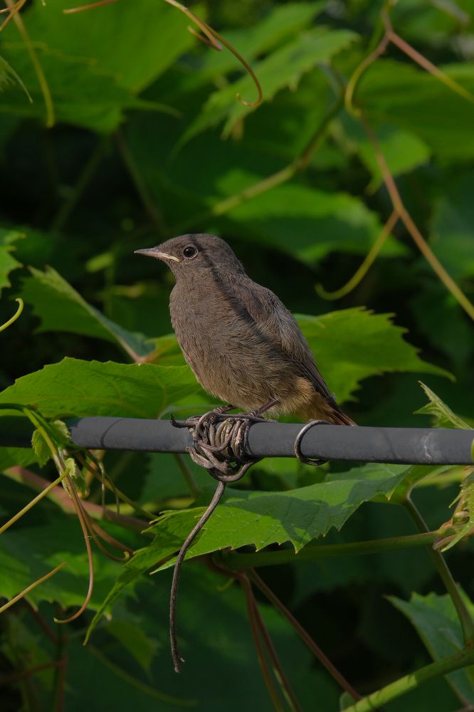 Photograph by Ирина Дегтярева