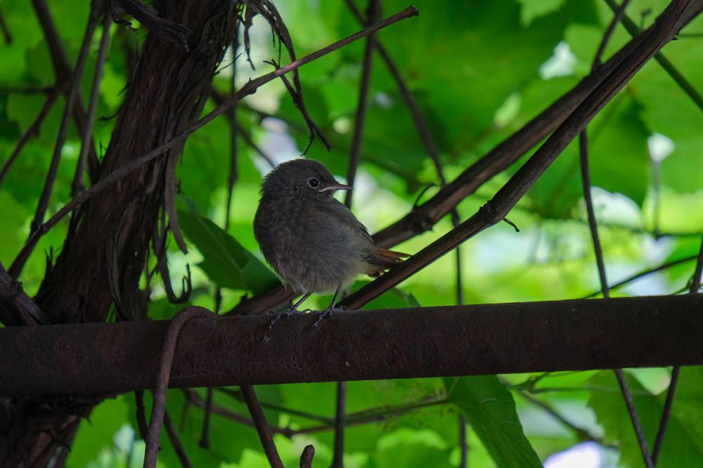 Photograph by Ирина Дегтярева