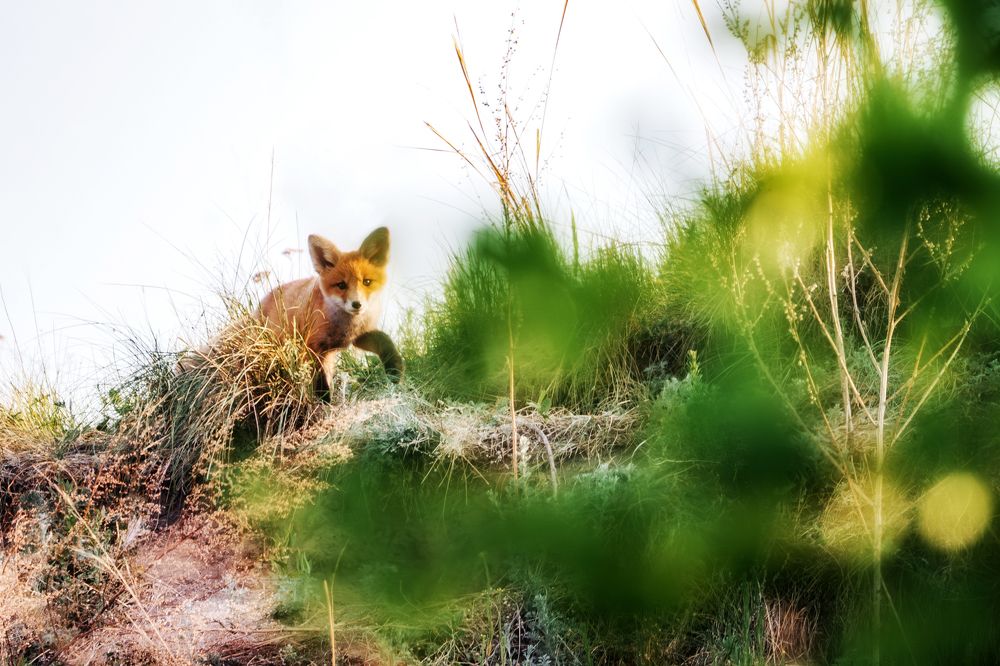 Photograph by Руслан Нигматуллин