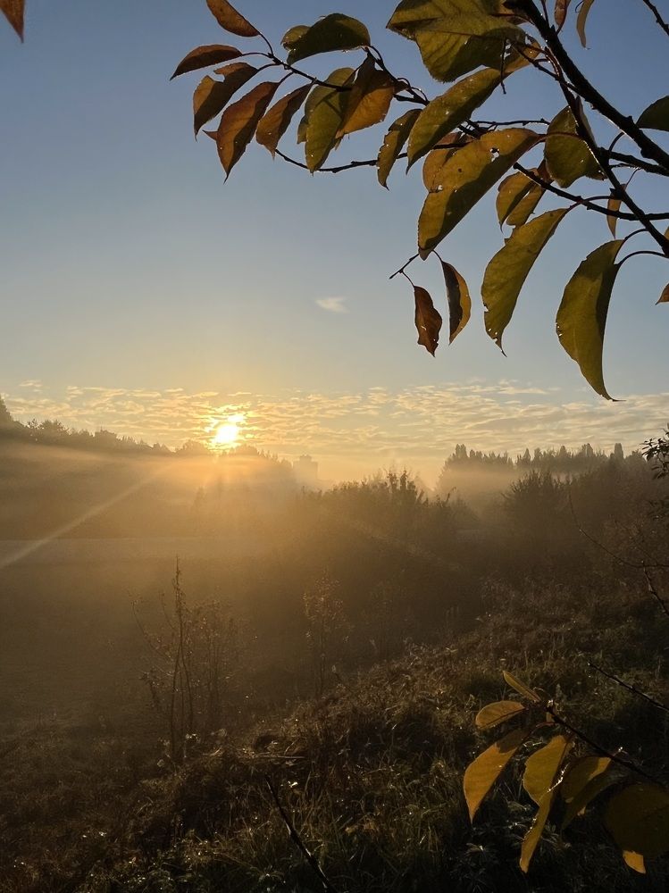Photograph by Ольга Томашевич