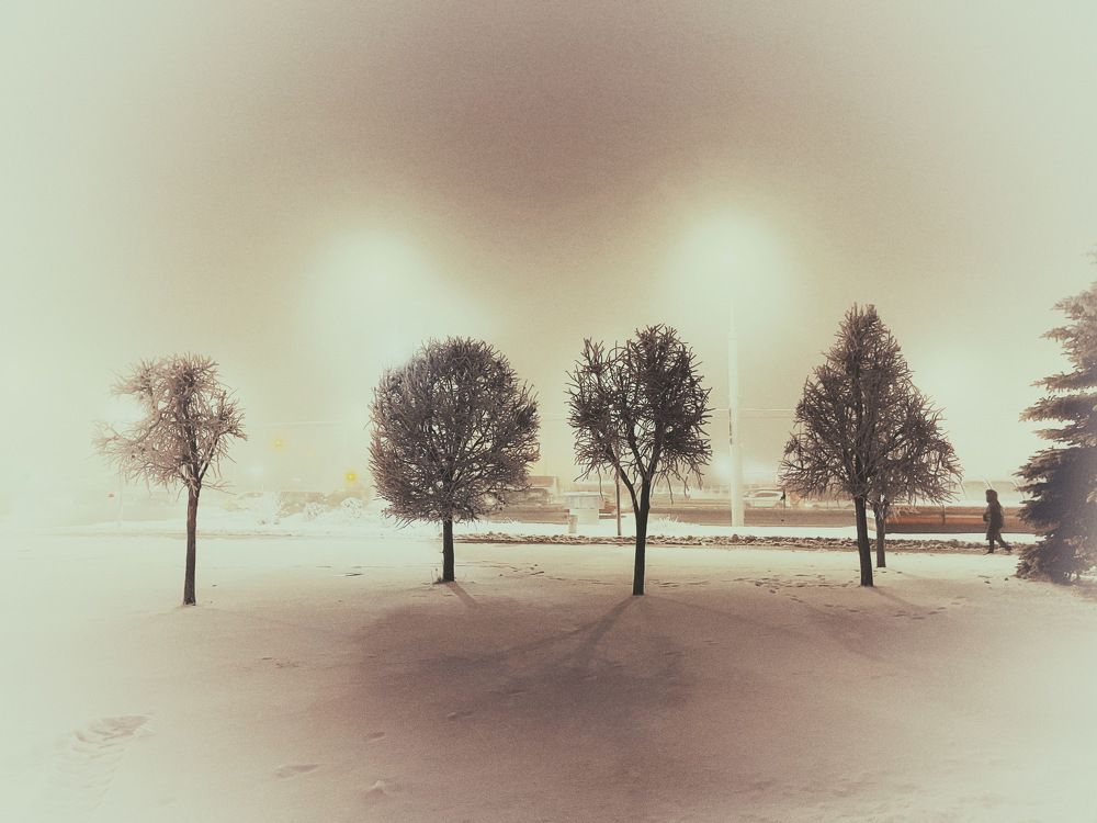 Photograph by Ольга Томашевич