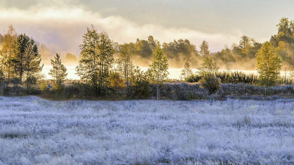Morning mist over Viersboshon lake