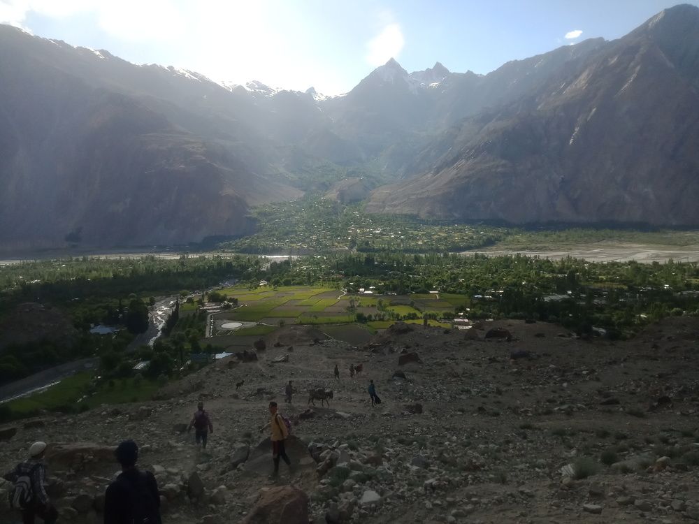 Photo #9213480