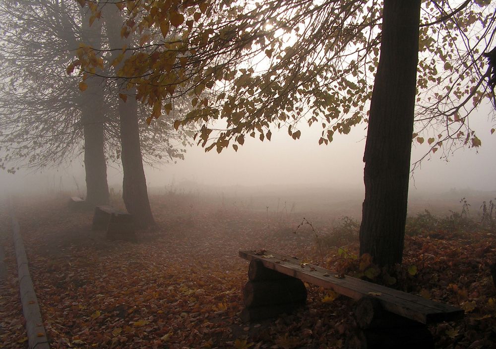 Photograph by Людмила Павловна