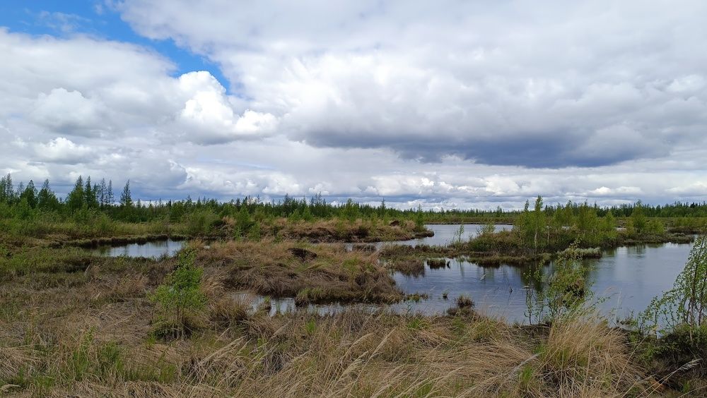 Фотография автора Мария Черница