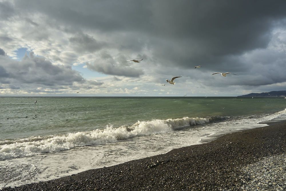 Photograph by Александр Клюев