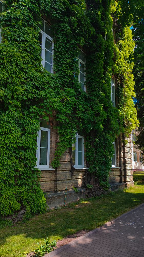 Photograph by Глушакова Татьяна Николаевна