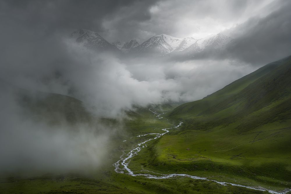 Photograph by WANG QIAN