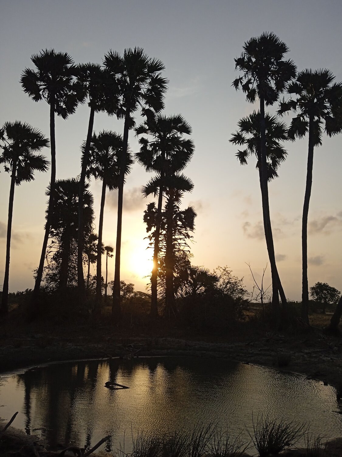 Photo #9213835