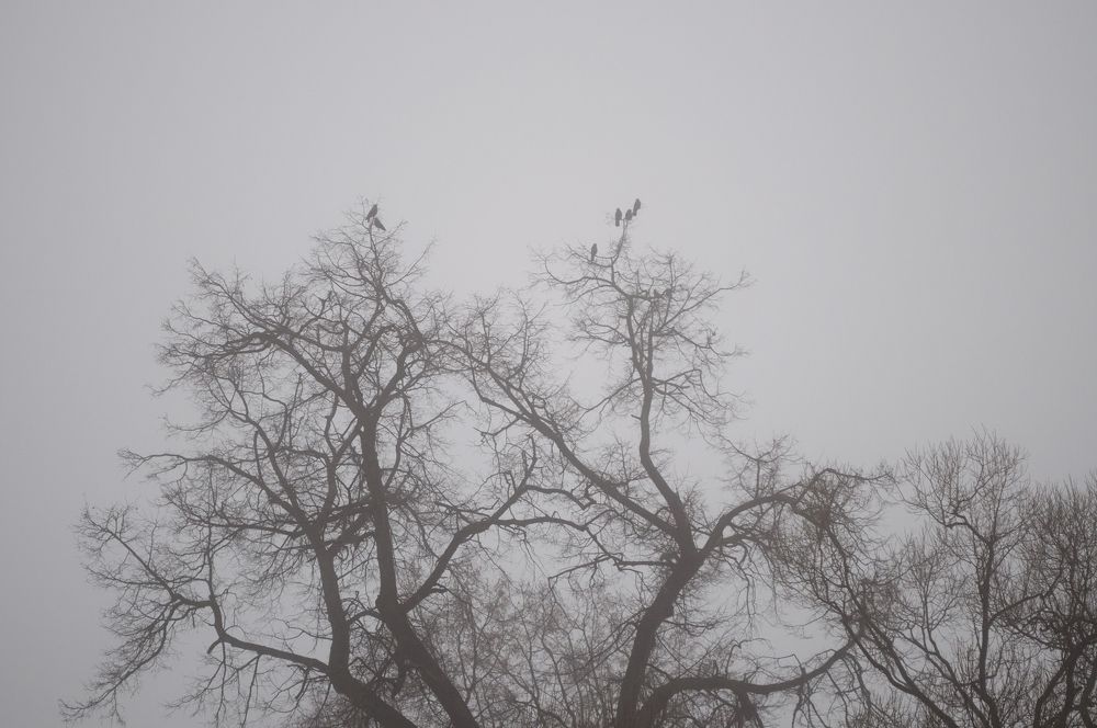 Photograph by Романов Денис