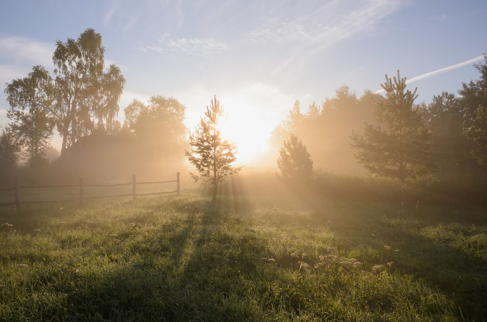 Photograph by Романов Денис