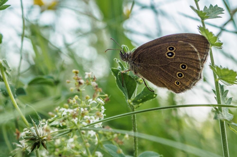 Photograph by Азат Кадиров