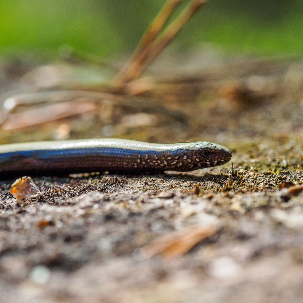 Photograph by Азат Кадиров