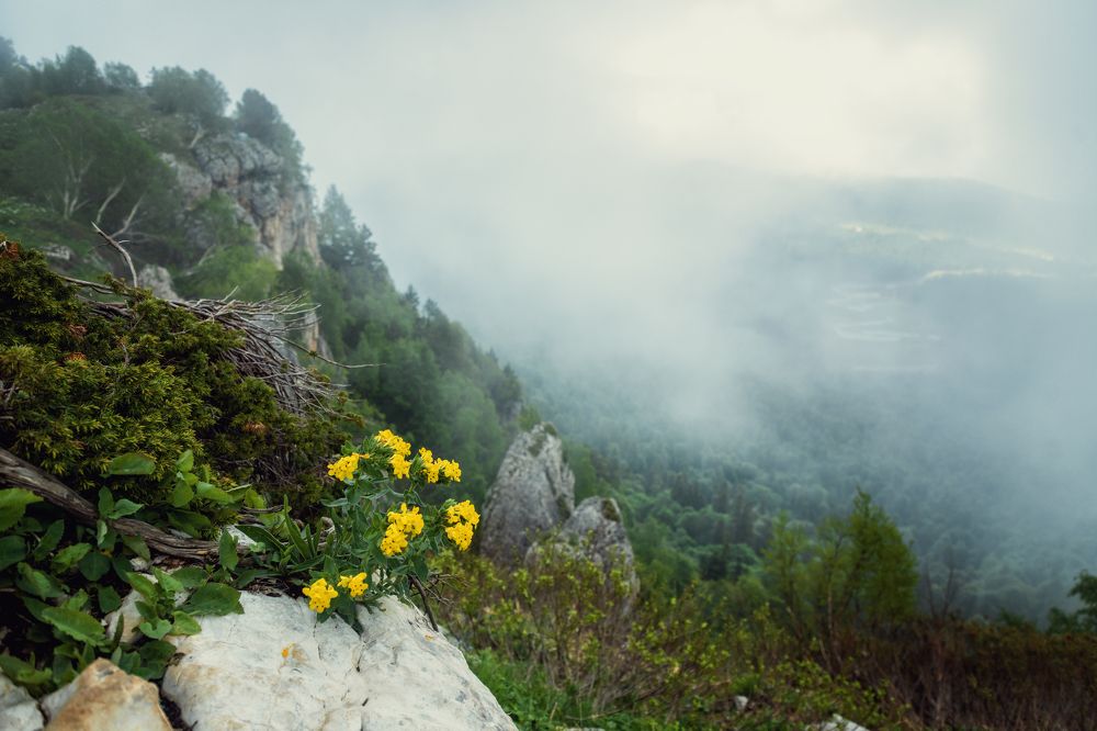 Photograph by EKATERINA WALTER