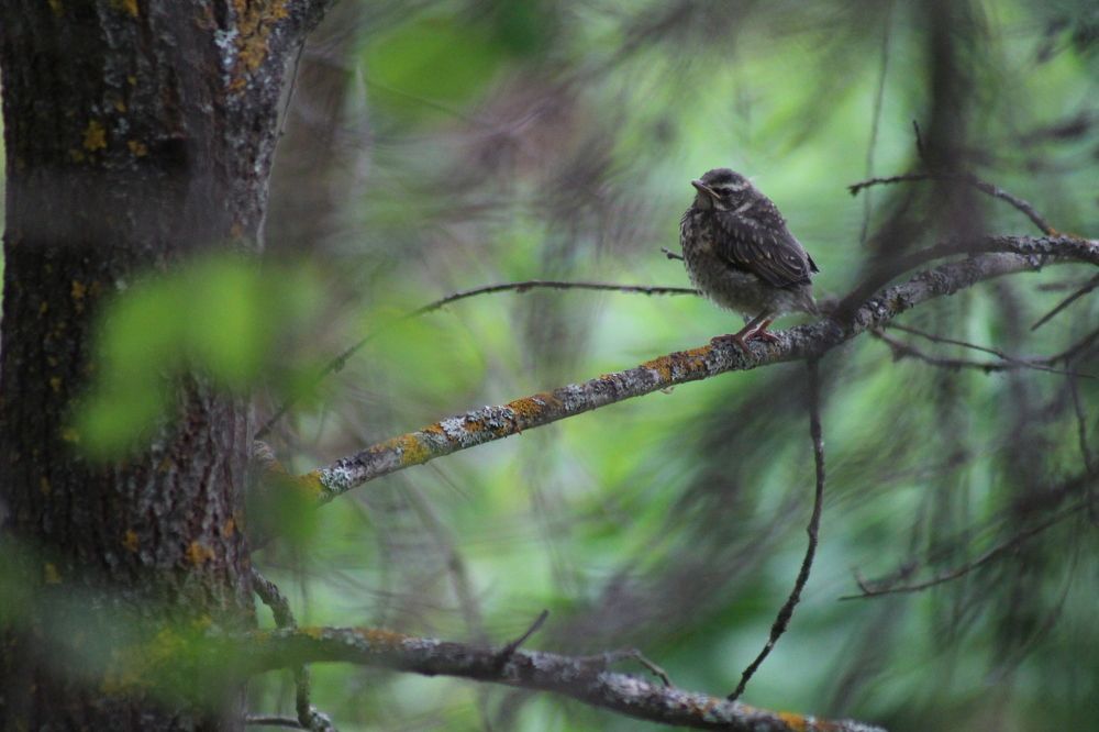Photograph by Анна Эдуардовна
