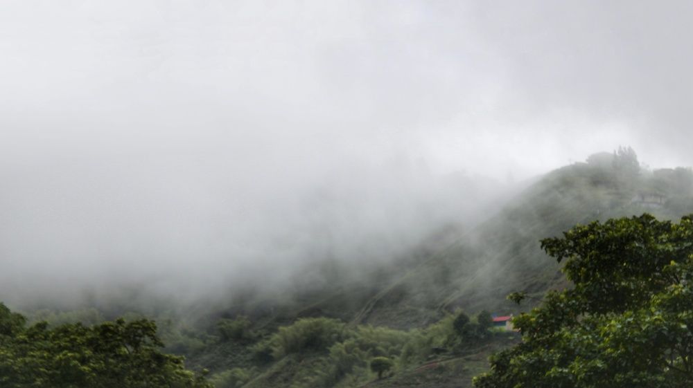 Photograph by nileydi Colmenarez