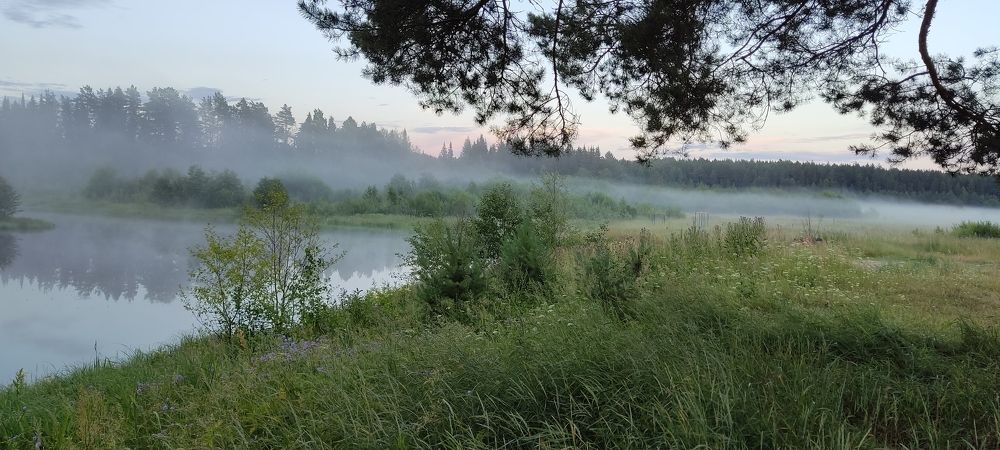 Фотография автора Лия Князь