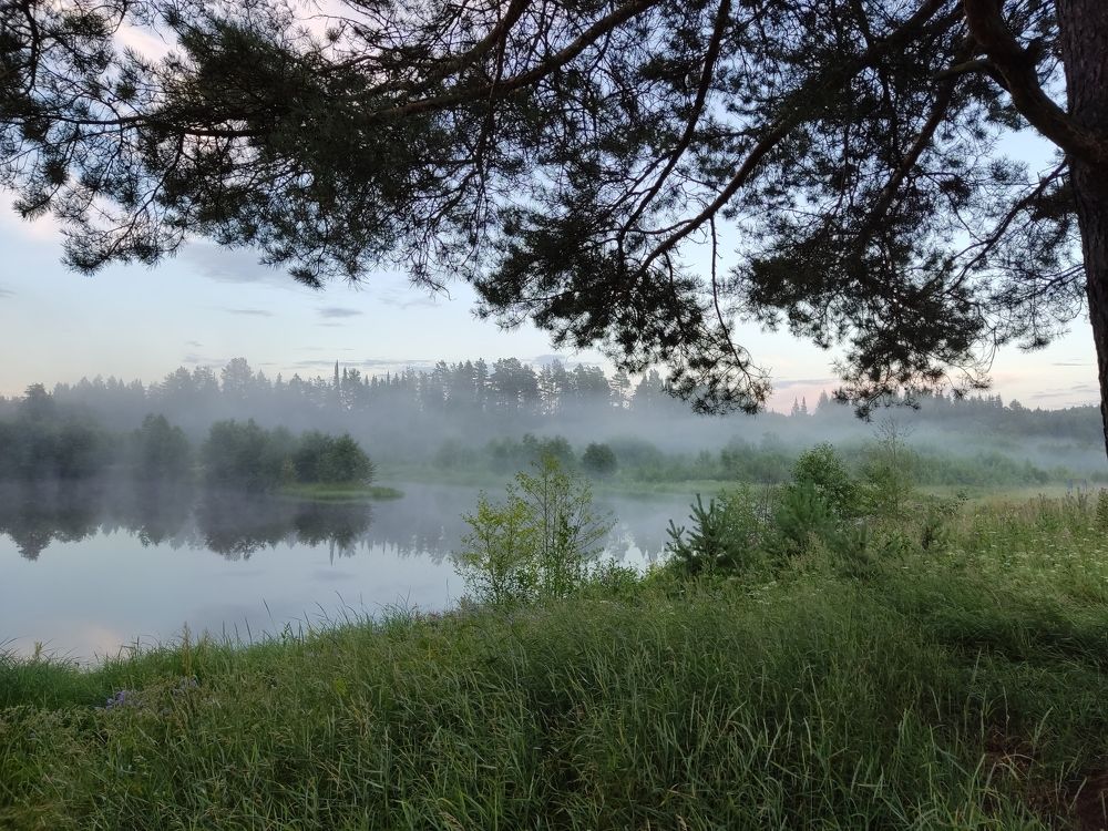 Photo #9214003