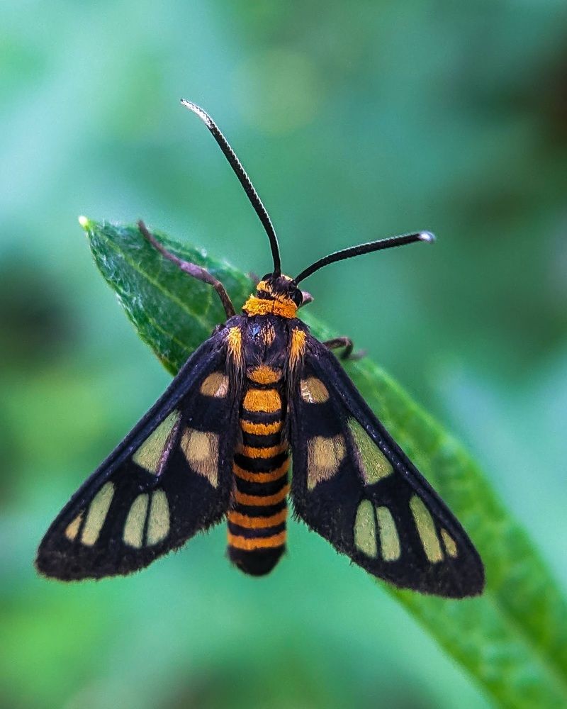 Photograph by Pranesh Muralidharan