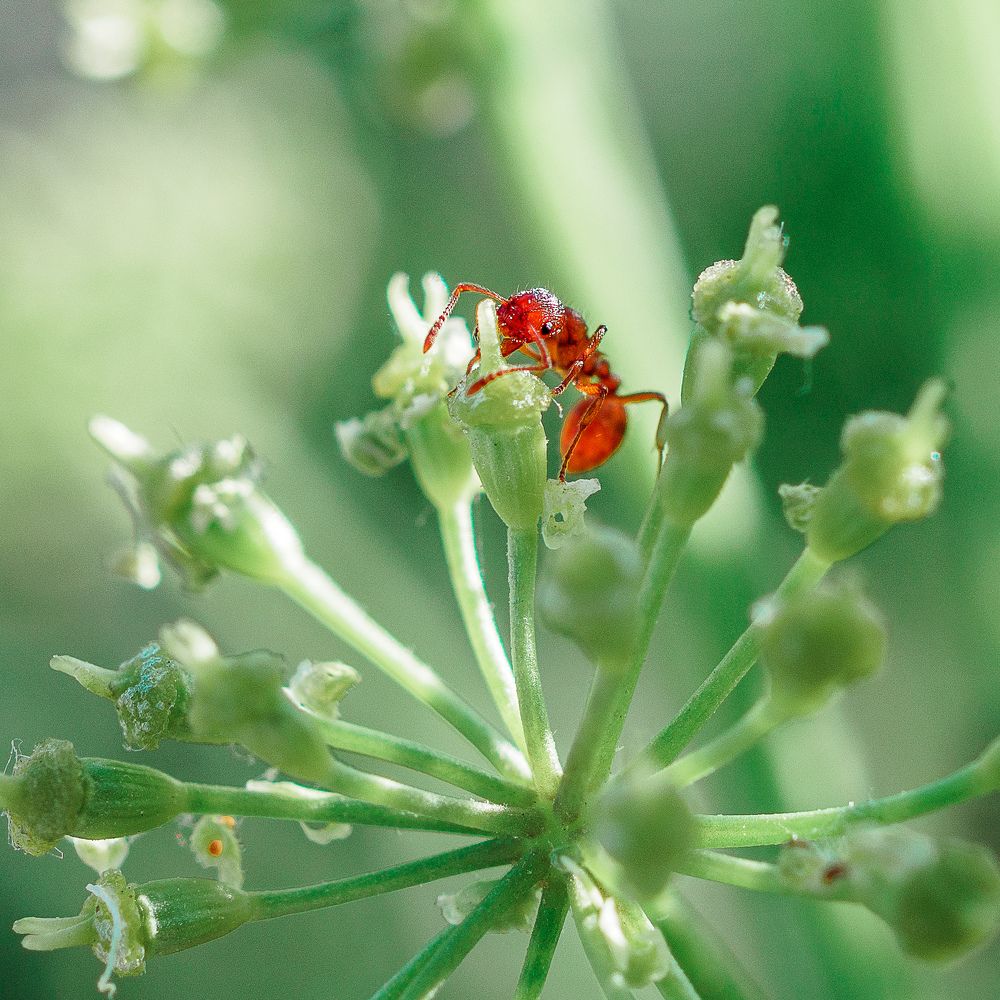 Photograph by Азат Кадиров