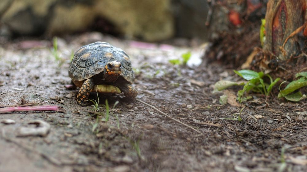 Photograph by nileydi Colmenarez