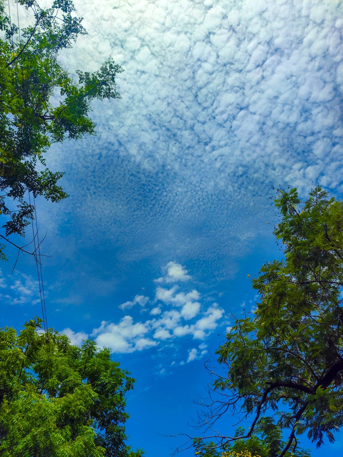 Photo #9214046