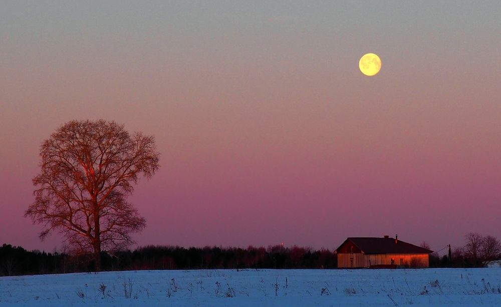 Photograph by ANDREY PERESHEIN