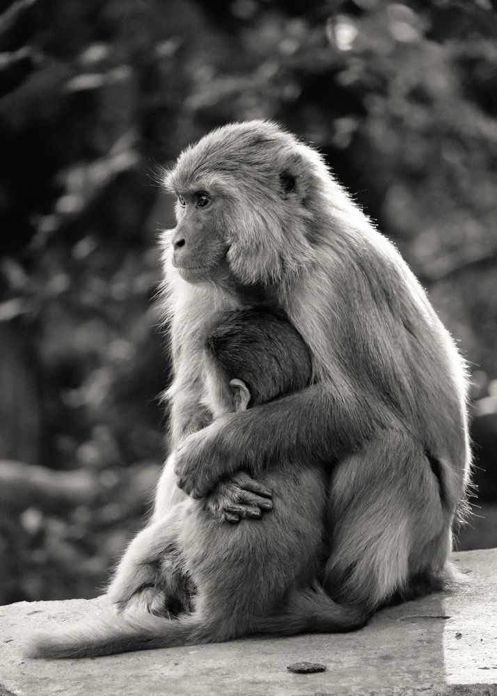 Photograph by RITVIK BHARDWAJ