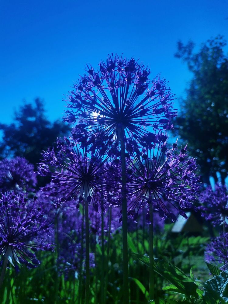 Photograph by Ирина Садовникова