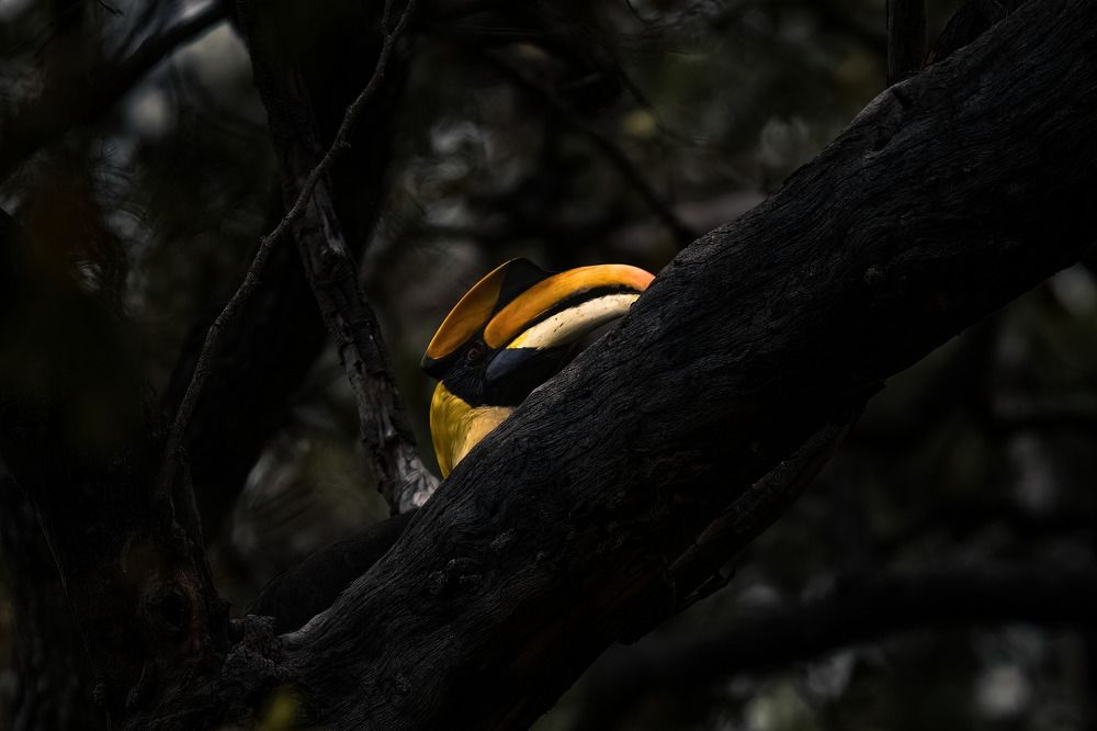 Photograph by Muhammed Zidan Photography