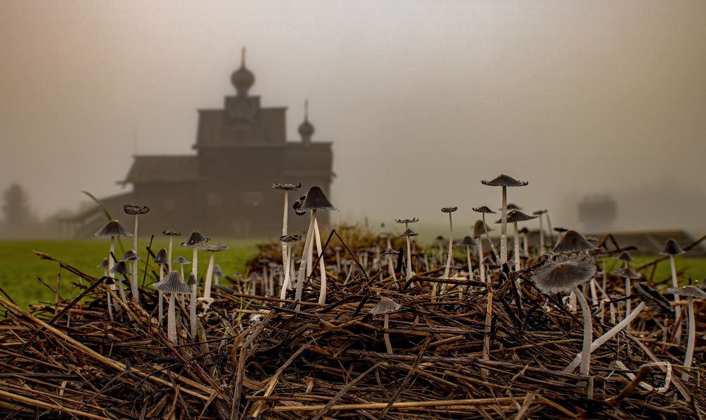 Photograph by Юрий Чернов