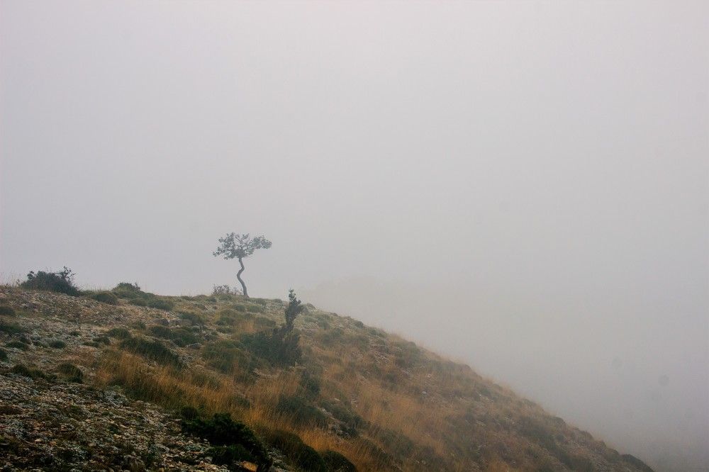 Фотография автора Татьяна Нарайкина