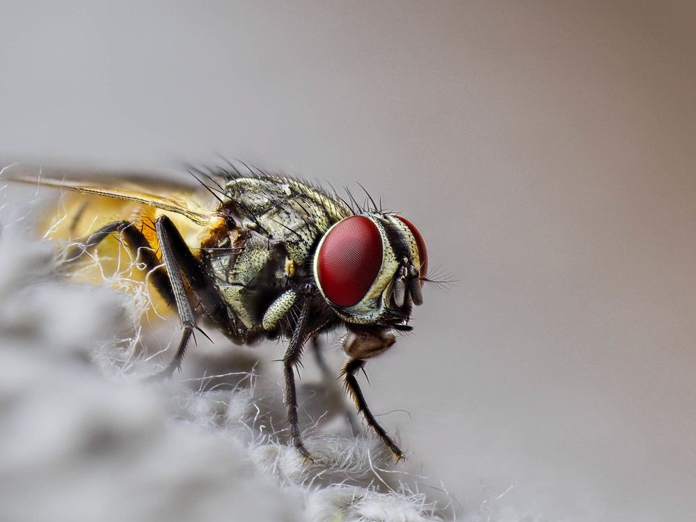 Photograph by RAJESH MAHAJAN