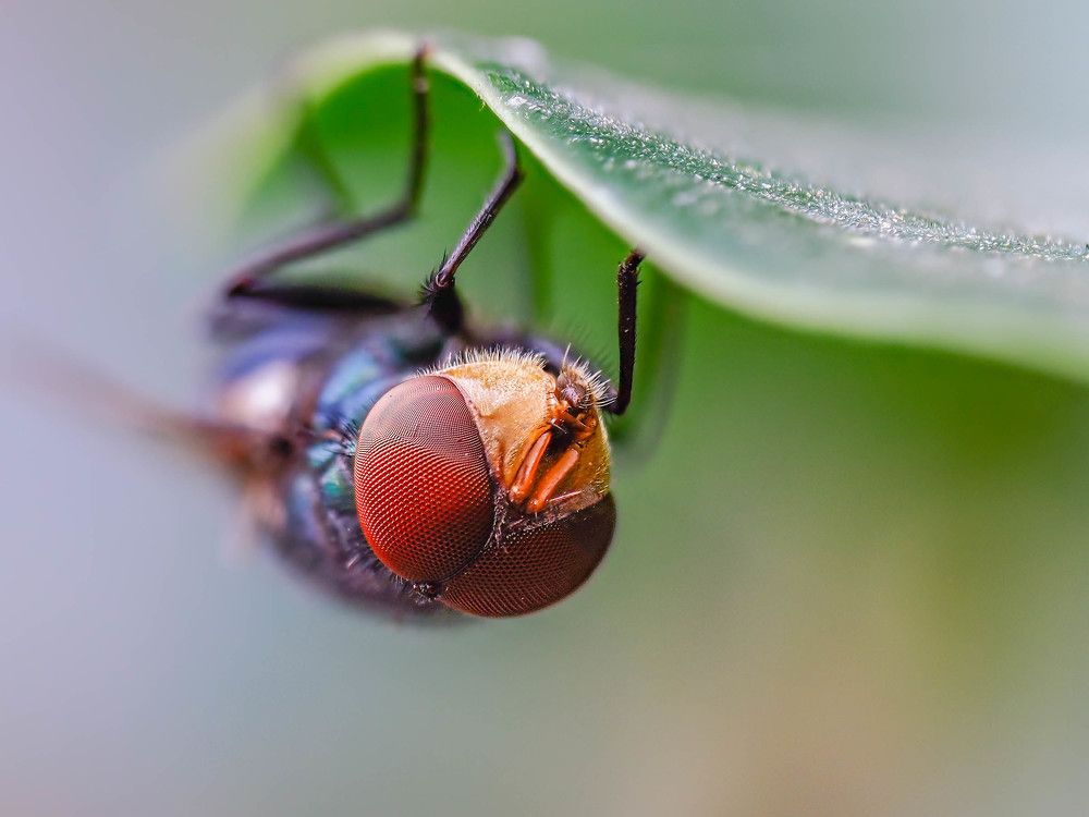 Photograph by RAJESH MAHAJAN