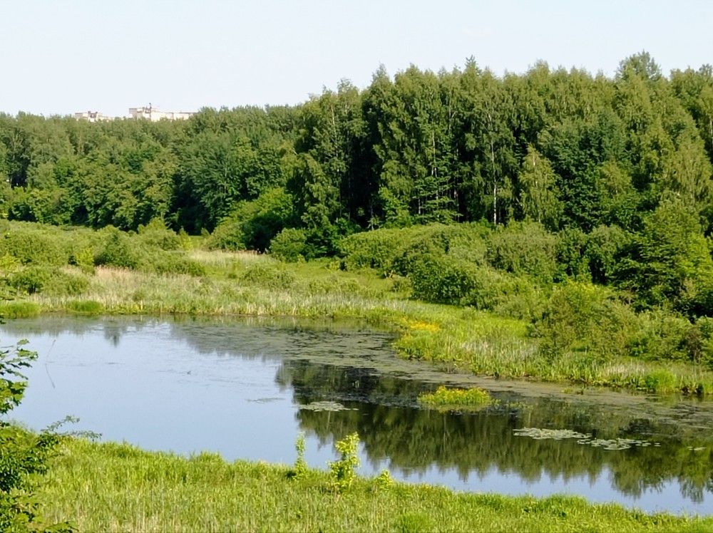 Photograph by Алла Узкая