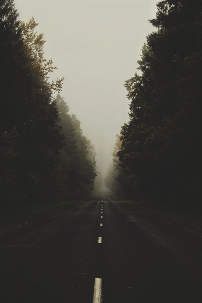 Photograph by Виктория Старовойтова