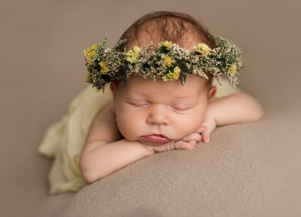 Photograph by Nicole Traubenek