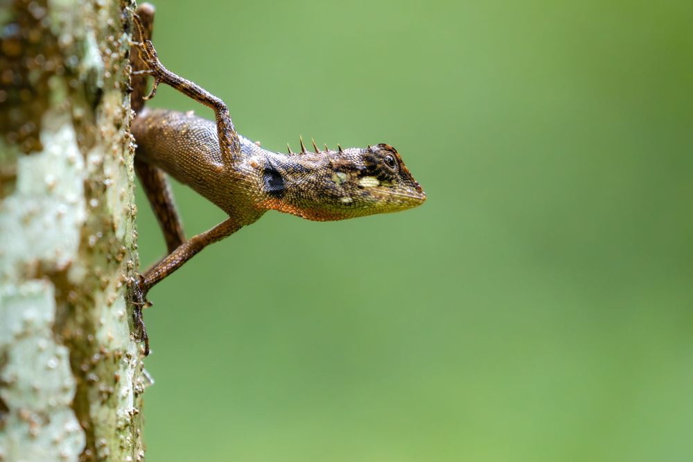 Photograph by Nijas Mohamed