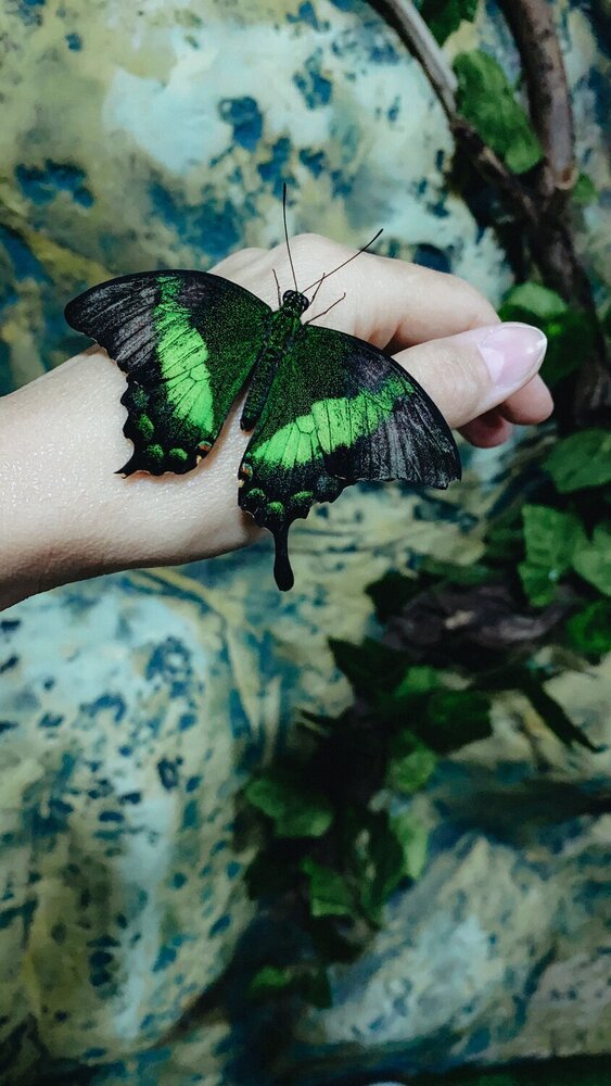 Photograph by Svetlana
