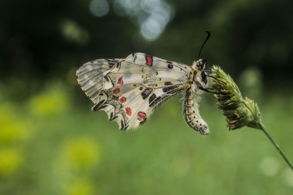 Photograph by iliya levkov