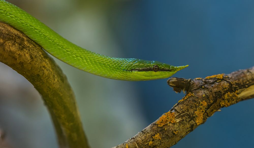 Photograph by yuri kutukov