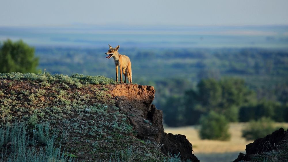 Photograph by Сергей Жданов